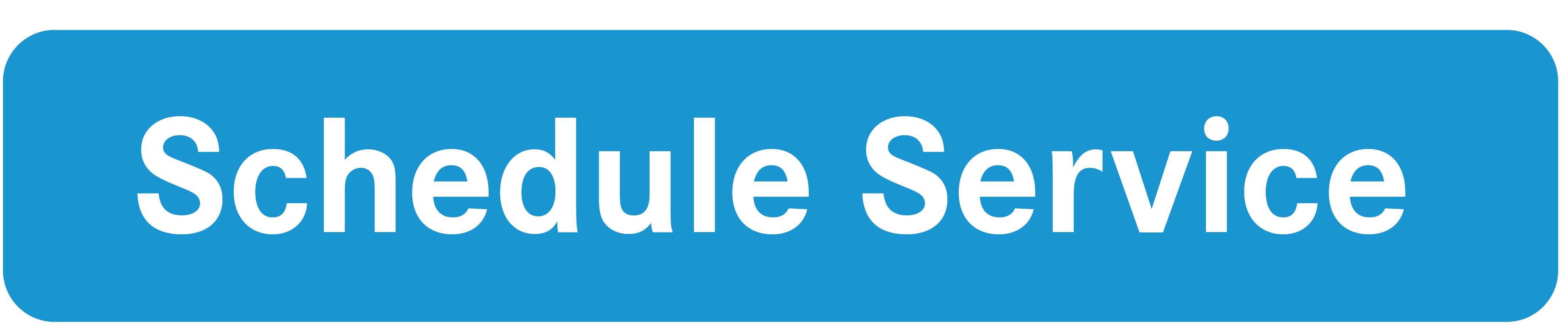 Schedule Service