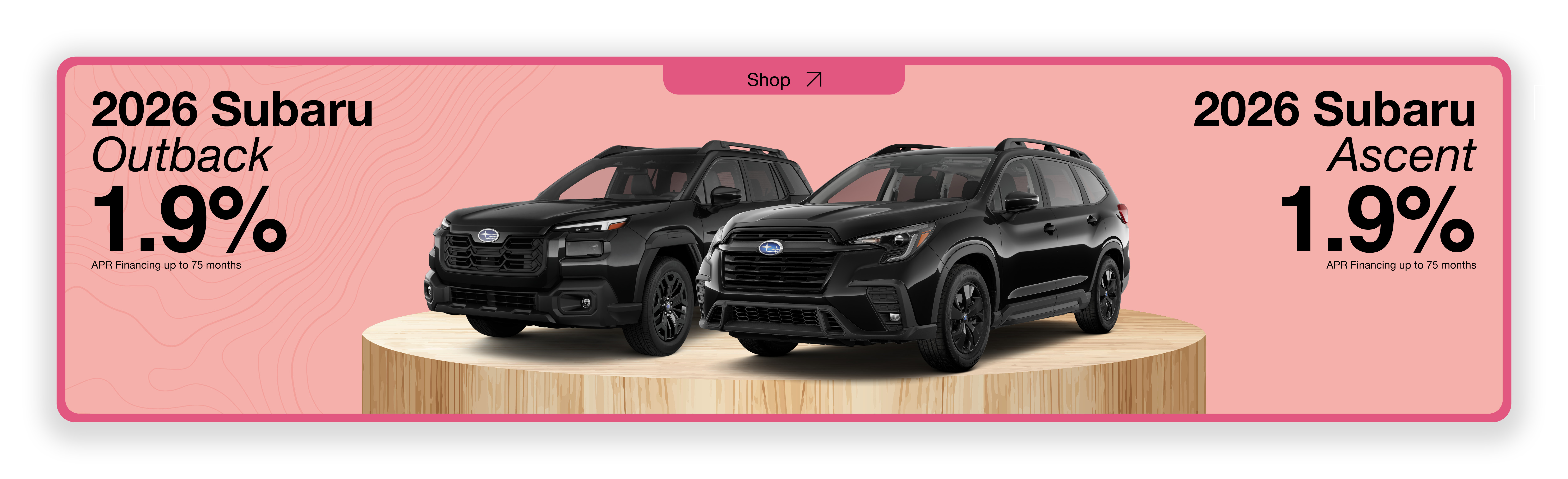Subaru Outback/Ascent Special
